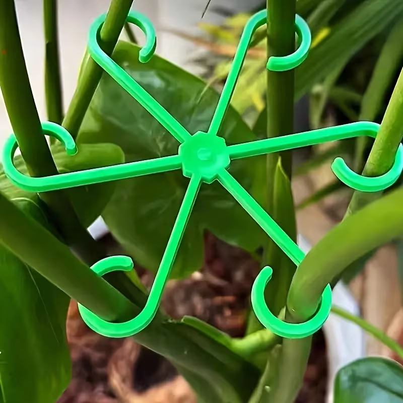8-Piece Plant Stem Support Set - đánh giá và giá Variegated Monstera Node
