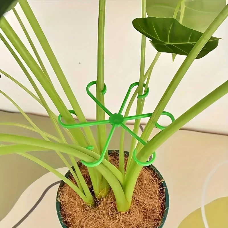 8-Piece Plant Stem Support Set - đánh giá và giá Variegated Monstera Node