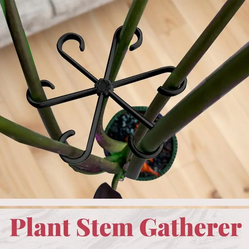 4pcs Climbing Plants Support C - đánh giá và giá Variegated Monstera Node