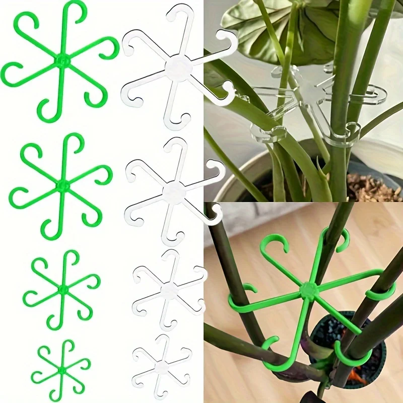 4pcs Climbing Plants Support C - đánh giá và giá Variegated Monstera Node